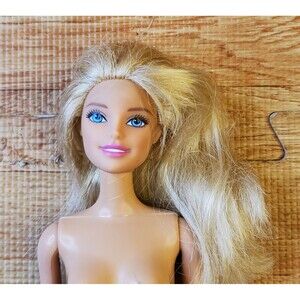 Barbie Mattel 2009 Sisters Fun Day Doll CCP82 Nude
